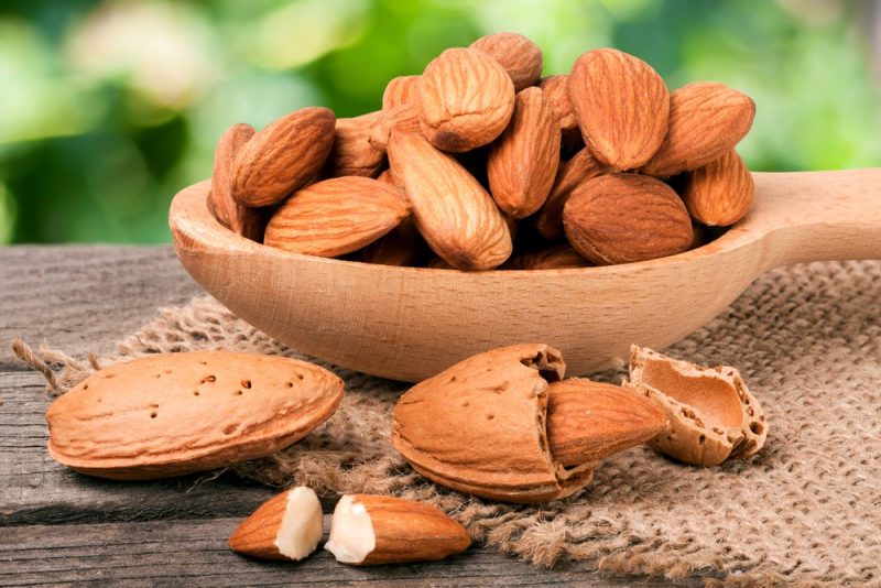 weight loss foods weight loss foods
