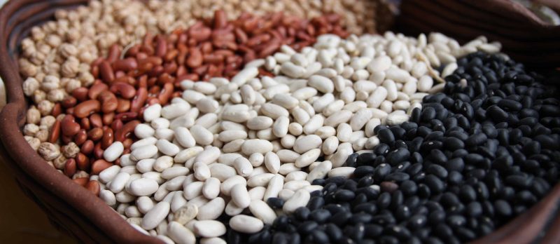best diet foods best diet foods