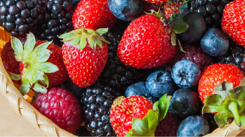 fat burning foods fat burning foods