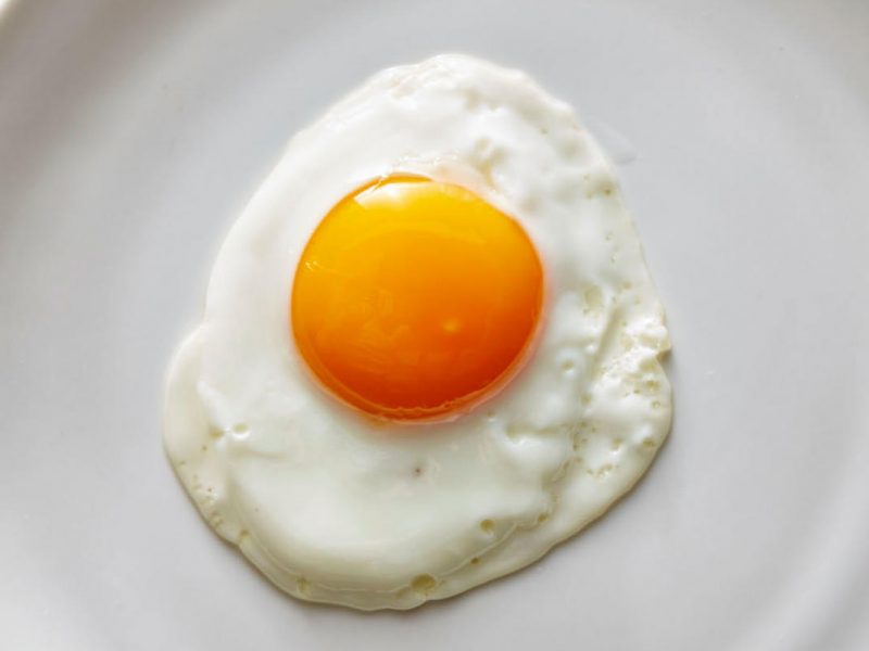 fat burning foods fat burning foods