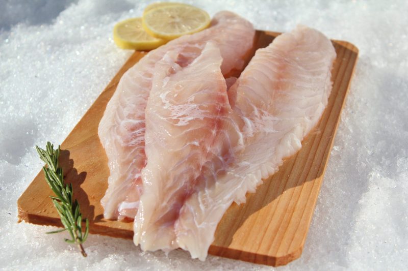 fat burning foods fat burning foods