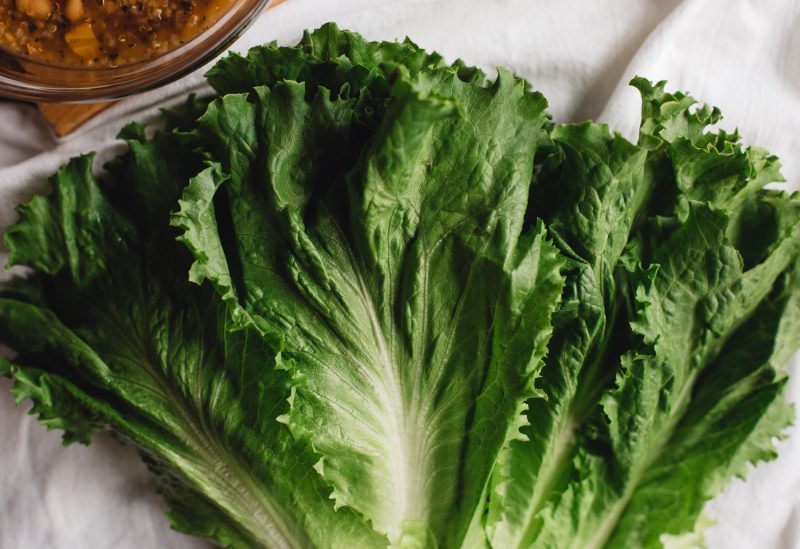 Low Carbohydrate Foods