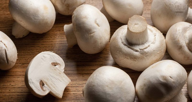 low fat foods low fat foods