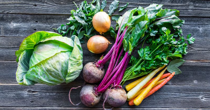 raw food diet raw food diet